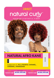 JANET COLLECTION NATURAL CURLY WIG - NATURAL AFRO KANE - Textured Tech